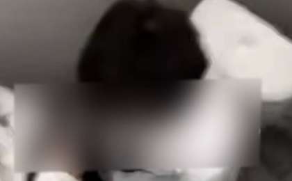 Әжетханада бір-бірін зорлап ойнаған: Мектеп оқушыларының сұмдық видеосы тарады (ВИДЕО)