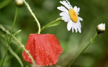 Демалыс күндерге ауа райы болжамы