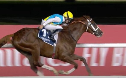 Дубайдағы бәйге - Кабирхан тағы топ жарды