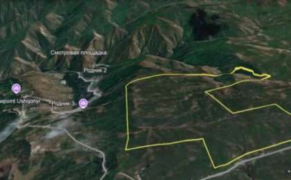 Назарбаевтың Шамалғандағы мемлекетке қайтарылған мүлкі аукционға қойылды