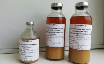 Вакцина формуласын ұрламақ болғандар әшкереленді