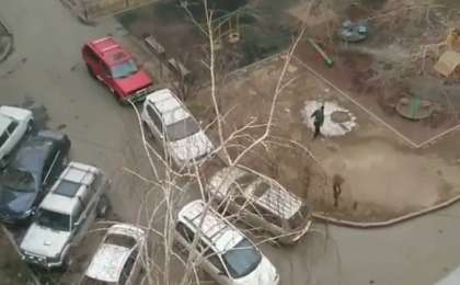 Проблемасы туралы айқайлап ән салған жігіт дауысымен тәнті етті (видео)