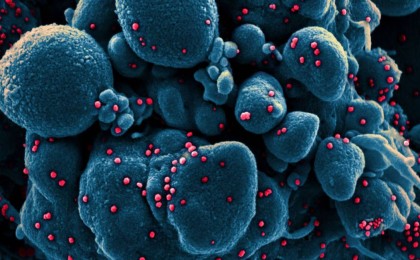 Ғалымдар коронавирус қалай таралатынын видео арқылы көрсетті