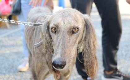 "Қан мен қақтығыс көп болады": Танымал көріпкел 2021 жылға болжам жасады