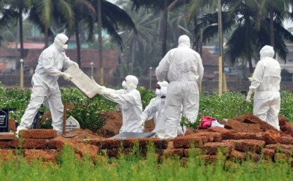 Nipah вирусы жаңа пандемия тудыруы мүмкін