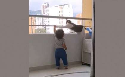 Бүлдіршінді өлімнен аман алып қалған мысық жұртты сүйсіндірді (видео)