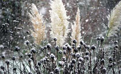 Қар жауып, күн жылиды. 26-28 қаңтарға ауа райы болжамы