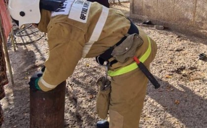 Шымкентте мас адам екі баласын газ баллонмен жармақ болған