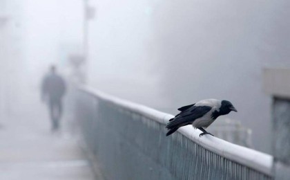 Елімізде алты облыс аумағында ауа райына байланысты ескерту жарияланды