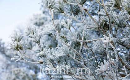 冷空气来袭！哈萨克斯坦北部地区将迎来零下33℃酷寒