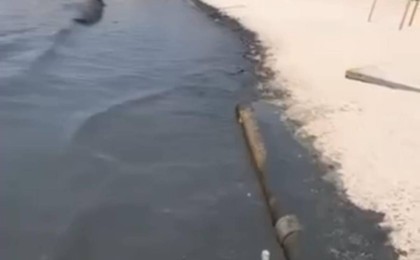 Каспий теңізі қара түске боялды