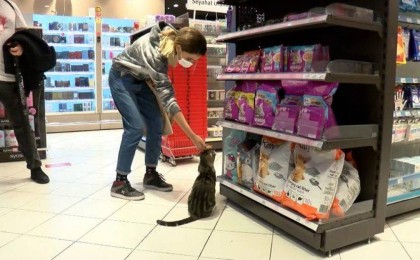 Алаяқ мысық адамдарды тұзағына түсіруде