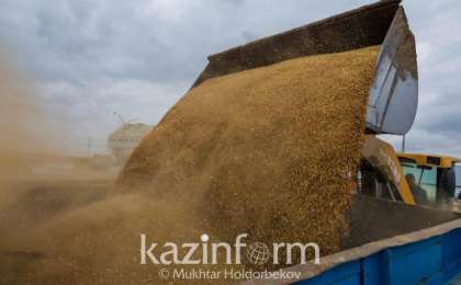 前三季度小麦出口量同比下降11％