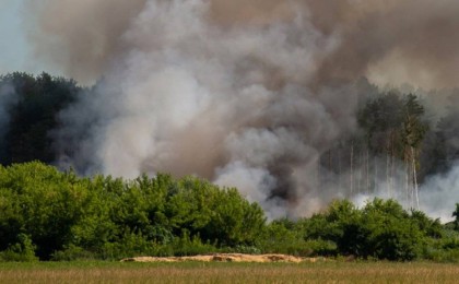 Қостанай облысындағы өртке байланысты орман шаруашылығы директоры қамауға алынды