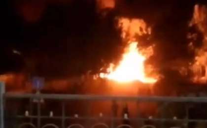 Алматыда Президент саябағы аумағында өрт шықты (видео)