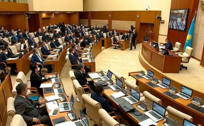 Мәжіліс депутаты шулы заңға қатысты түсінік берді