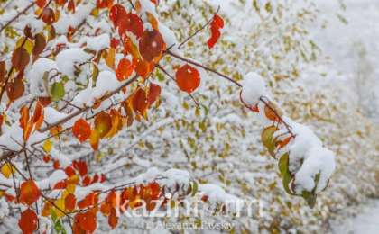 国家气象总局发布15日天气预报