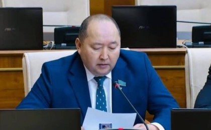 Мәжіліс депутаты шенеуніктерге ауылға көшіп барып, үйлерін тезекпен жылытуды ұсынды