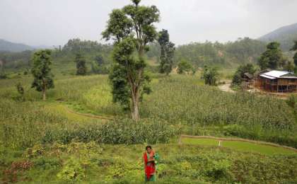 绿色气候基金批准1.61亿美元支持智利、吉尔吉斯斯坦和尼泊尔应对气候变化