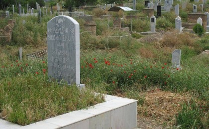 Интернеттің нашарлығына байланысты оқушы қыз зират ішінде оқуға мәжбүр болды