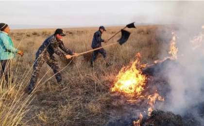 Абай облысы Үржар ауданында алапат өрт болып жатыр (фото)