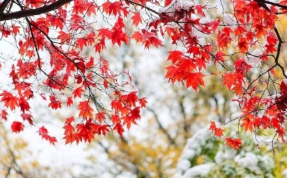 7 қазан ауа райы: Елдің басым бөлігінде қар, жаңбыр жауады