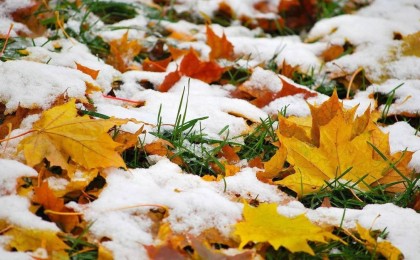 Алматыда алғашқы қар жауды: Ауа райы болжамы (ВИДЕО)