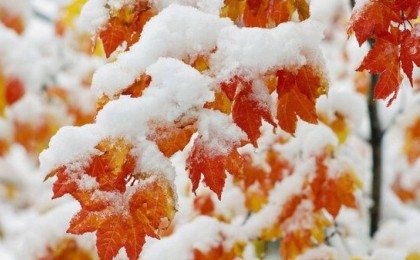 Жауын-шашын және қар: 5 қазан ауа райы