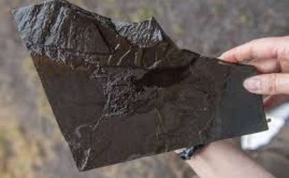 Қазақстанда тақтатас мұнайы өндірілмек