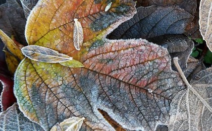 Алматы облысында минус үш градус аяз болады