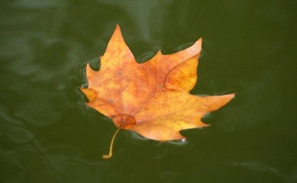 Қазақстанда 26-28 қыркүйекке арналған ауа-райы болжамы