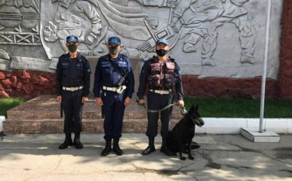 Қызметтік ит өзен жағасынан жоғалған алматылық әйелдің денесін тапты