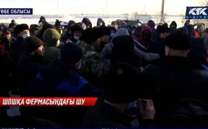 Ақтөбе облысында шошқа фермасының жұмысшылары мен тұрғындар төбелесіп қалды