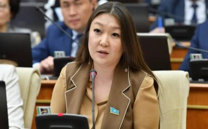 Қазақстанда ашық қалған кәріз құдығы үшін әкімдерді жазалау ұсынылды