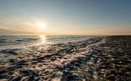 Арал теңізінің суы 42 пайызға артты