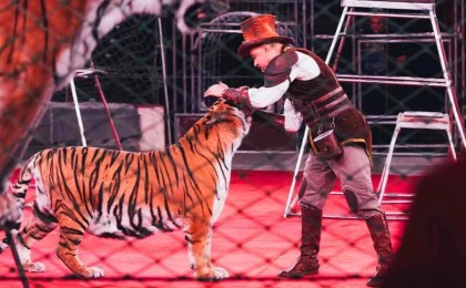 Қазақстанда цирктерде жабайы жануарларды пайдалануға тыйым салынбақ