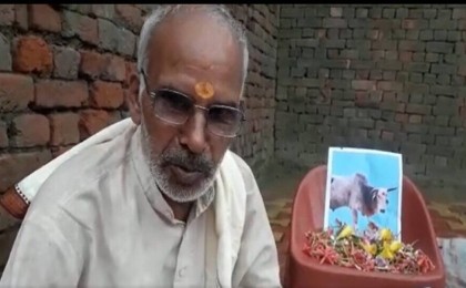 Ауыл тұрғындары өлген бұқа үшін 13 күн аза тұтты