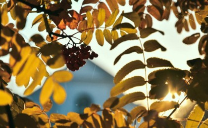 Қазақстандықтар қыркүйекте қанша күн демалады?