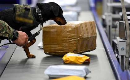 参议院批准通过独联体海关事务合作和互助协议修正案