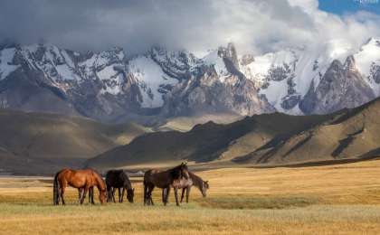 "Мысалы, Абай, Қызылжар облысы деп". Саясаткер үш облыстың атауы өзгеретінін болжады