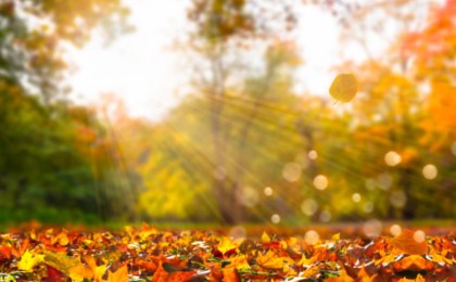 Температура жоғарлайды: Алдағы демалыс күндері ауа райы болжамы