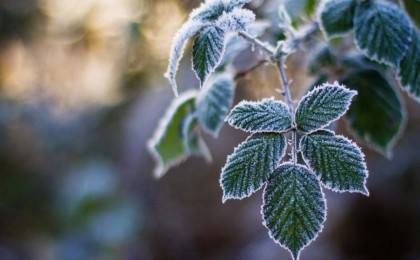 Қазақстанда демалыс күндері ауа температурасы 0-ге жақындайды