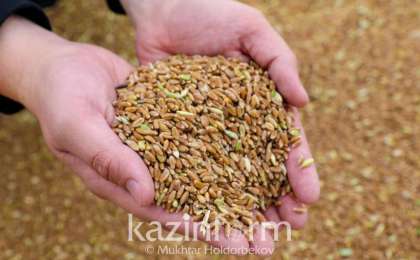 哈萨克斯坦农工商品出口总额达30亿美元