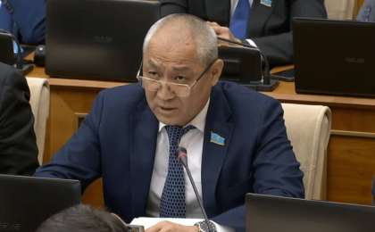 "Дайындықсыз келеді". Мәжілісте үкіметке ескерту жасады