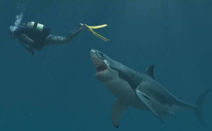 Египетте акулалар адамдарға шабуыл жасап, бір туристі жеп қойды