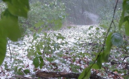 Елдің 11 өңірінде дабылды ескерту жарияланды