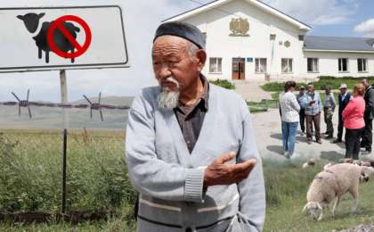 «Жайлауға әрең жеткен малдың көбі көтерем, қырылуға дайын тұр»: әйгілі Шәлкөде жайлауы жекеге өтіп кетті