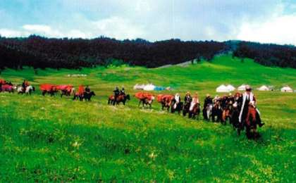 Cалтанатты көш эссе