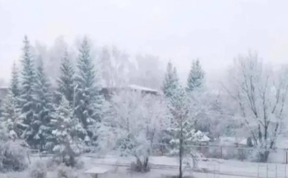 Солтүстік Қазақстан облысында алғашқы қар жауды