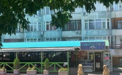 Қазақша сөйлейтін жерге бар: Алматыдағы “Узбечка” кафесі мемлекеттік тілде қызмет көрсетуден бас тартқан